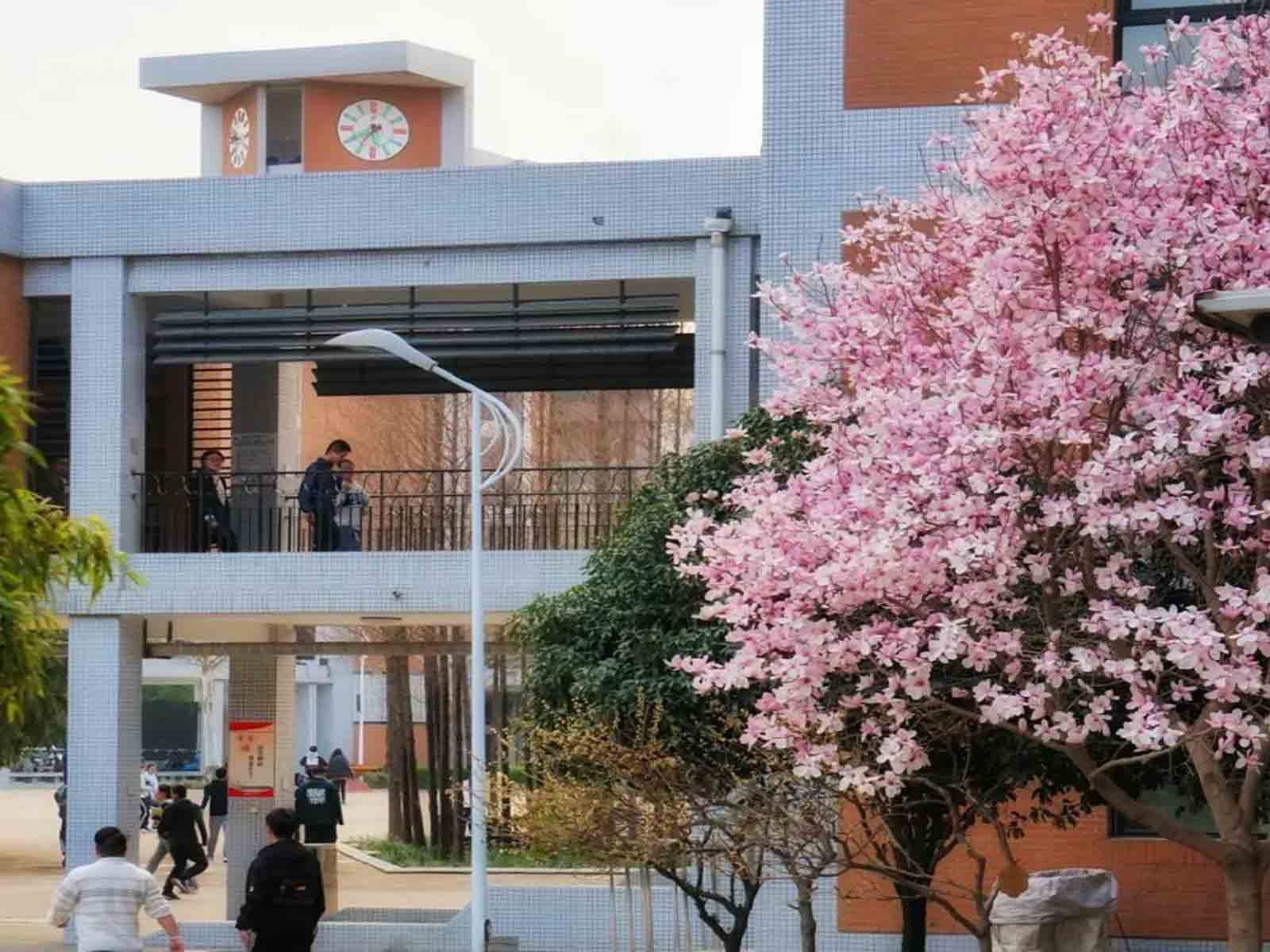 郑州市第一中学