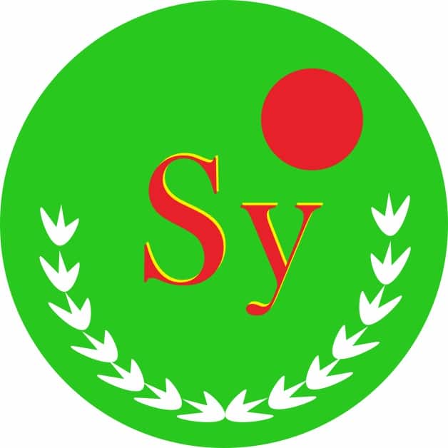 嵩阳中学（初中部）