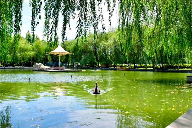 郑州市第四十七高级中学