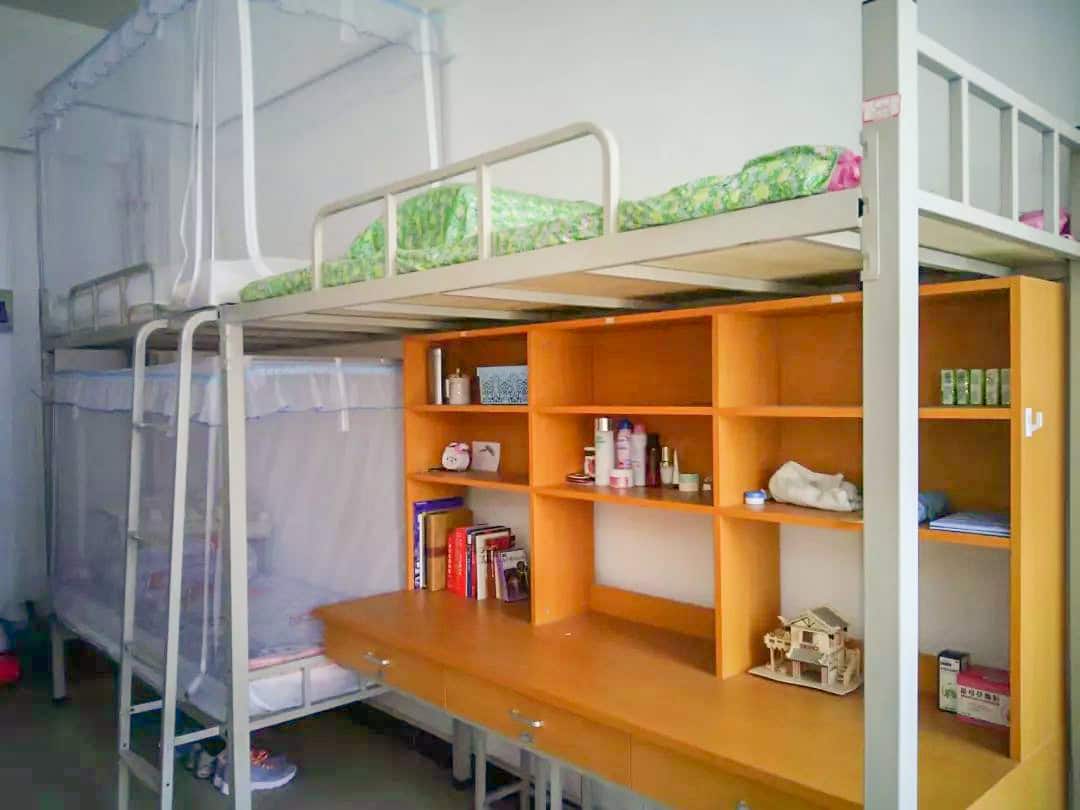 郑东新区外国语中学