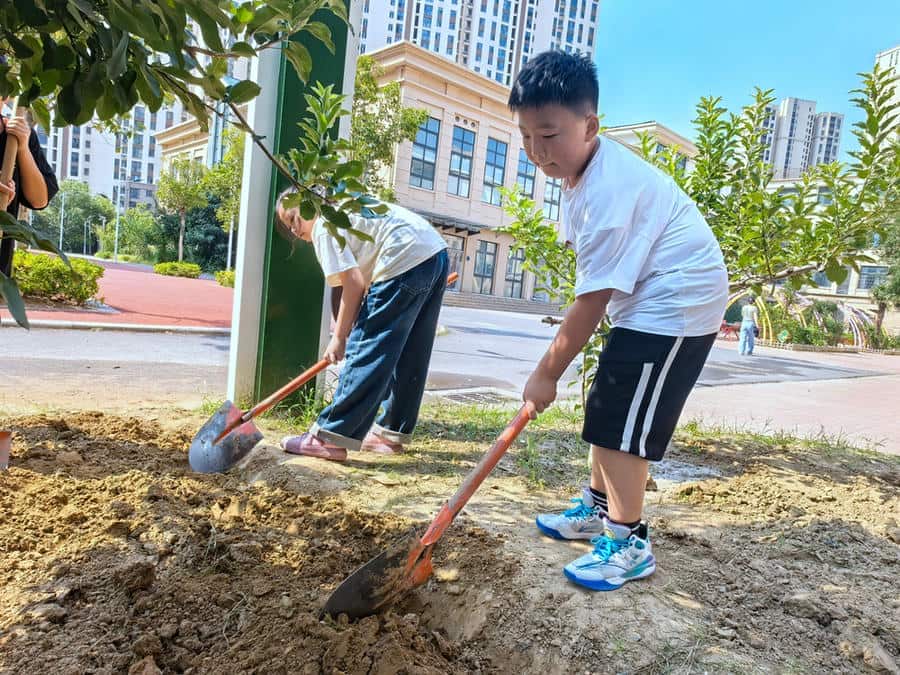 郑州市管城回族区创新街花溪小学