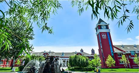 郑州市金水区澳新国际学校