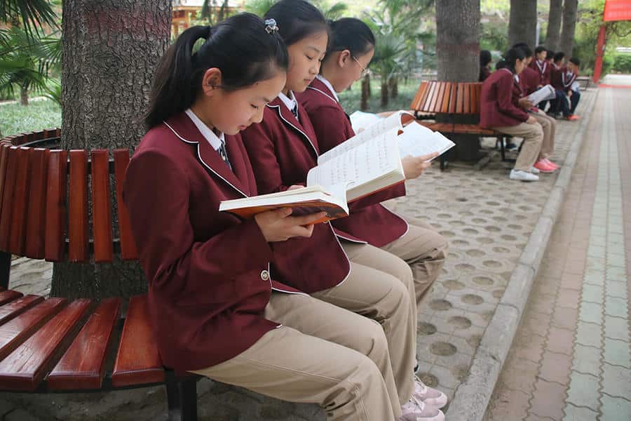 郑州市中原区西斯达城市森林学校