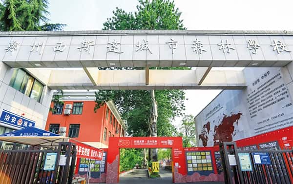 郑州西斯达城市森林学校
