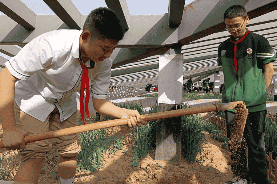 郑州市二七区绿地爱华学校