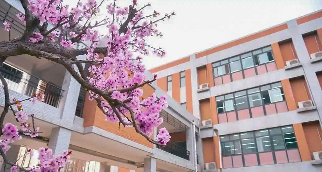 郑州市第一中学国际部