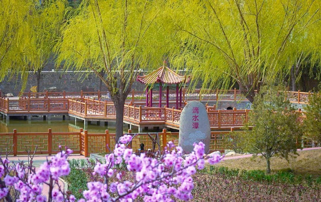 郑州市第一中学国际部