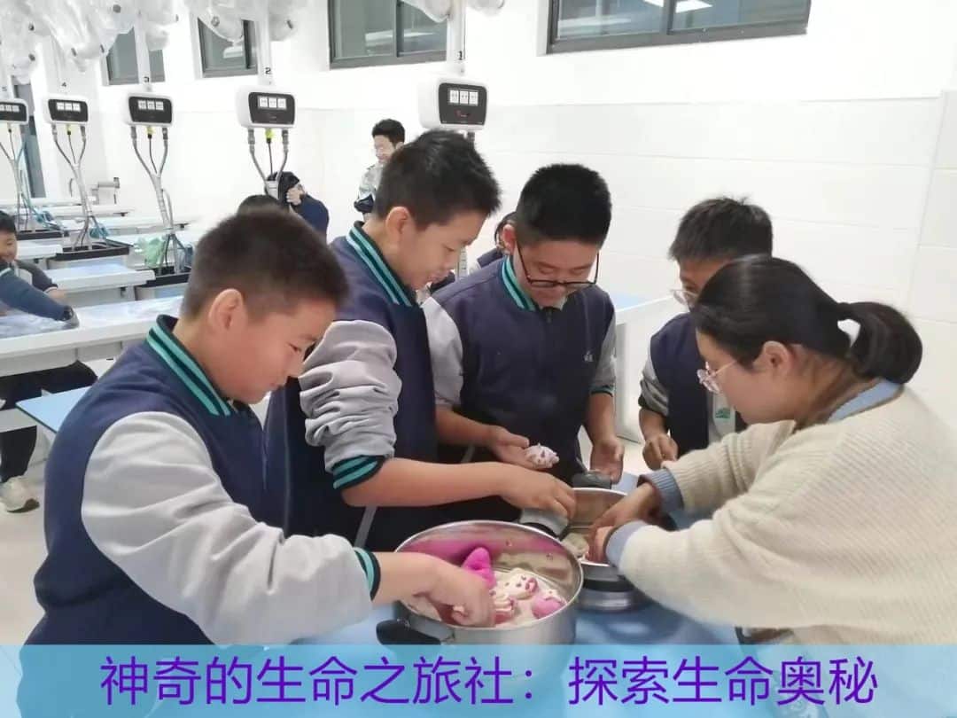 微信图片_20250624104703_副本.jpg