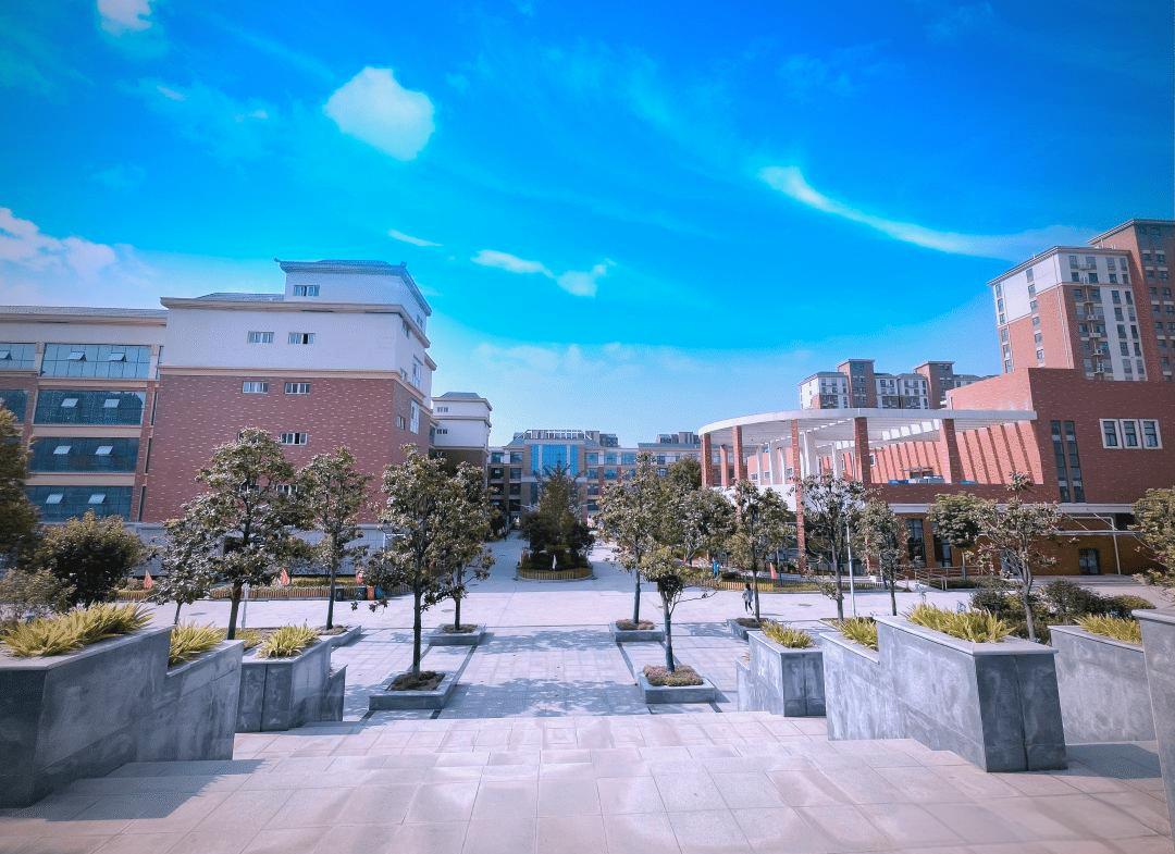 河南师范大学附属育人国际学校