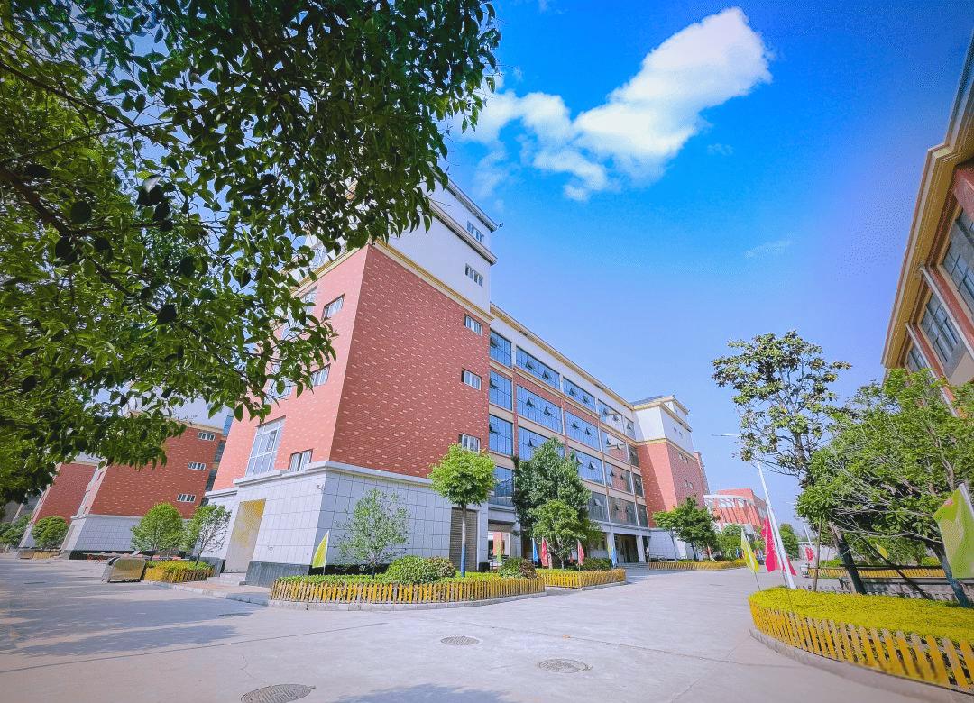 河南师范大学附属育人国际学校